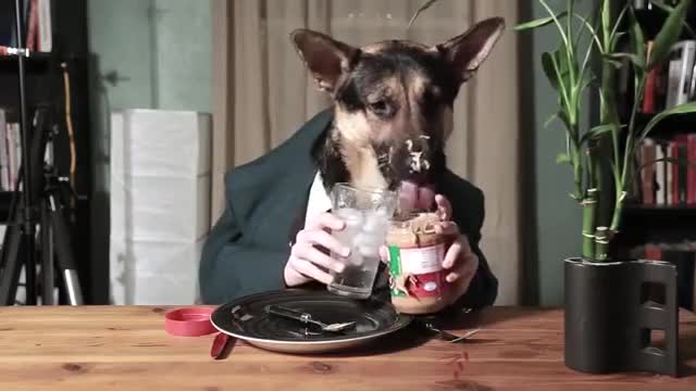 Odin Eating Like a Person